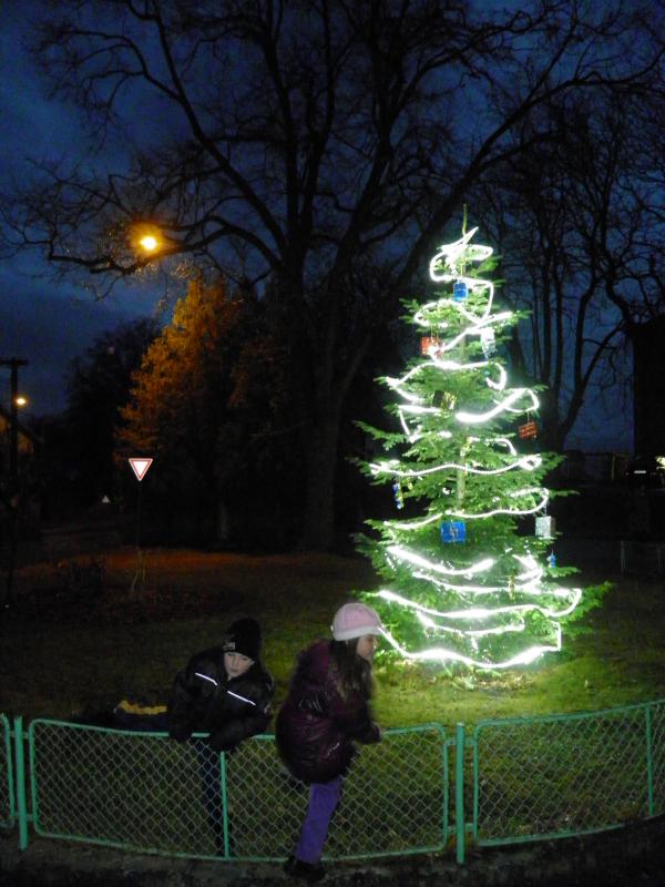 Vánoční strom.JPG